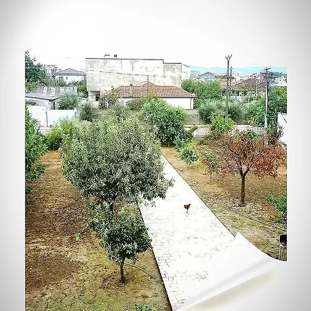 Elena For Rent Garden View Xhafzotaj
