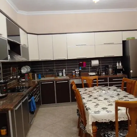 Villa Elena For Rent Garden View Xhafzotaj