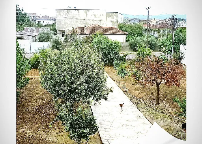 Elena For Rent Feeling Xhafzotaj